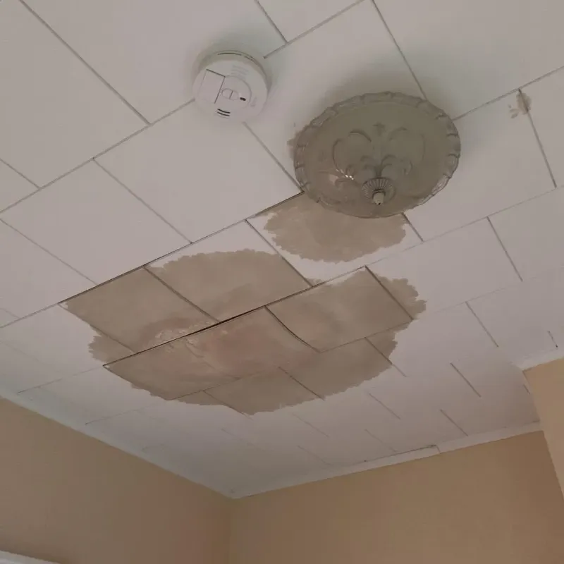 Ceiling Water Damage Repair in Tower City, PA