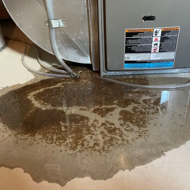 Pipe Burst and Leak Restoration in Tower City, PA